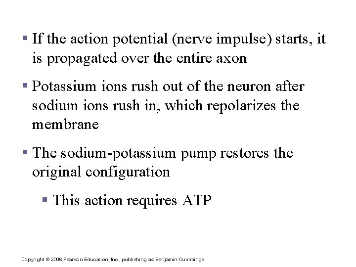 The Action Potential § If the action potential (nerve impulse) starts, it is propagated