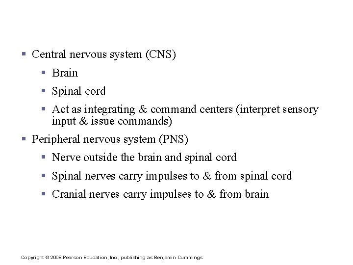 Structural Classification of the Nervous System § Central nervous system (CNS) § Brain §