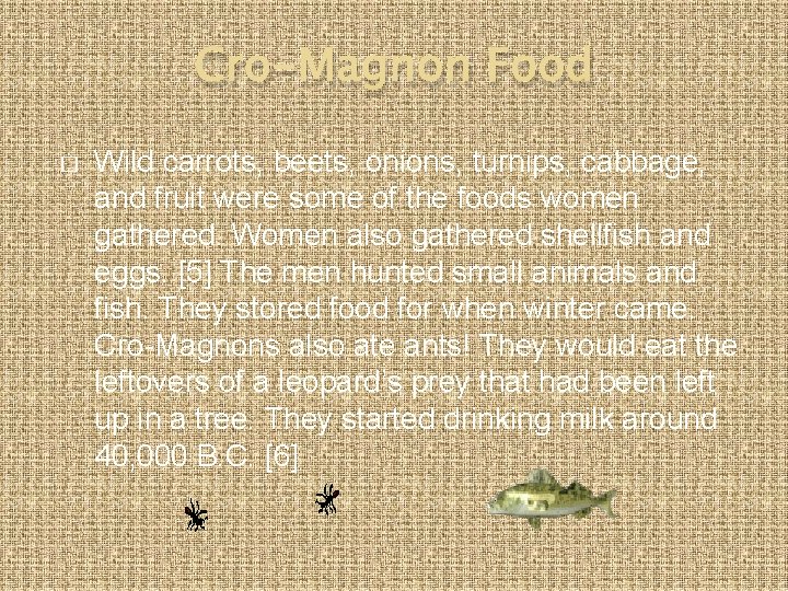 Cro-Magnon Food � Wild carrots, beets, onions, turnips, cabbage, and fruit were some of