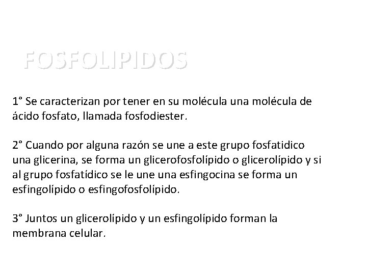 FOSFOLIPIDOS 1° Se caracterizan por tener en su molécula una molécula de ácido fosfato,