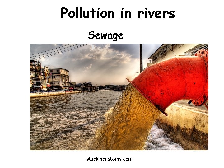 Pollution in rivers Sewage stuckincustoms. com 