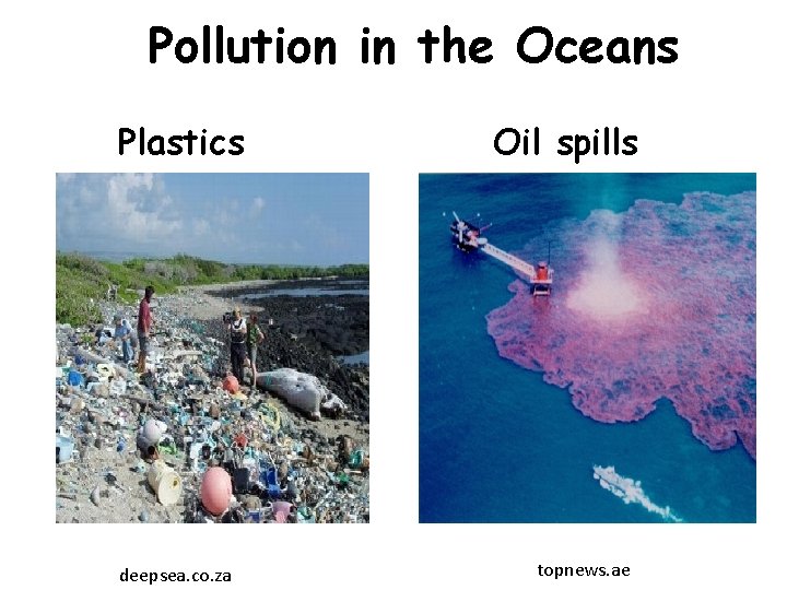 Pollution in the Oceans Plastics deepsea. co. za Oil spills topnews. ae 