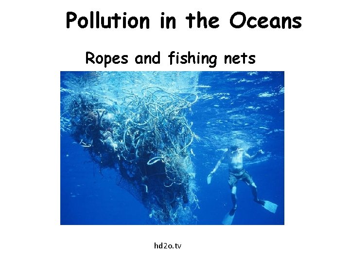 Pollution in the Oceans Ropes and fishing nets hd 2 o. tv 