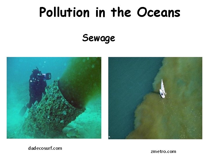 Pollution in the Oceans Sewage dadecosurf. com zmetro. com 
