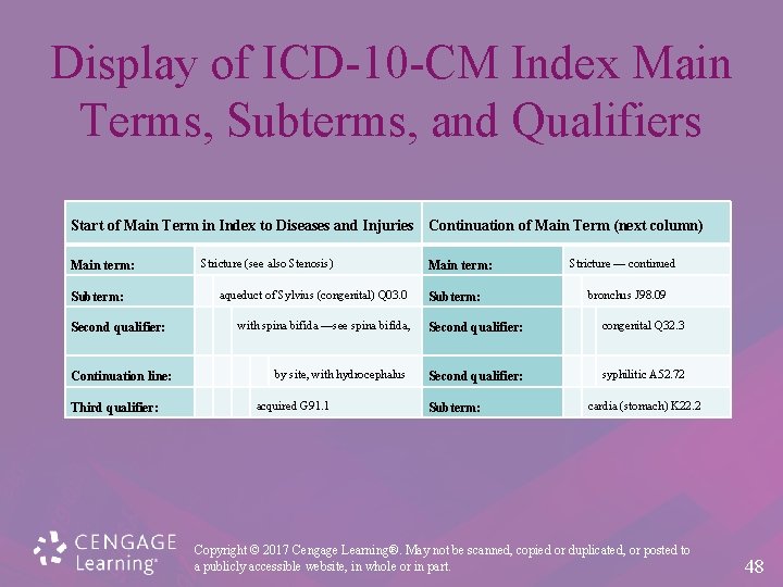 Display of ICD-10 -CM Index Main Terms, Subterms, and Qualifiers Start of Main Term
