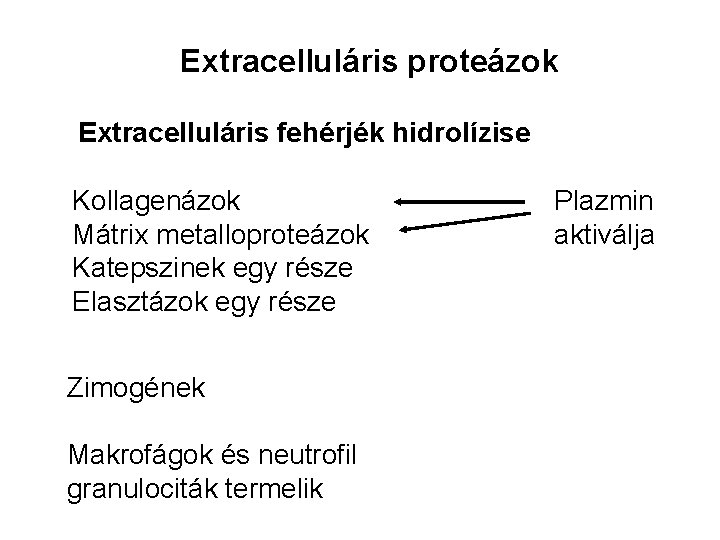 Extracelluláris proteázok Extracelluláris fehérjék hidrolízise Kollagenázok Mátrix metalloproteázok Katepszinek egy része Elasztázok egy része