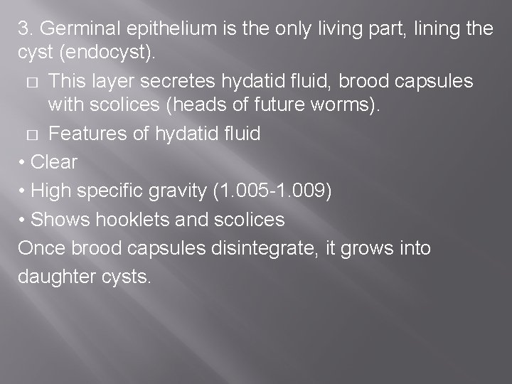 3. Germinal epithelium is the only living part, lining the cyst (endocyst). � This