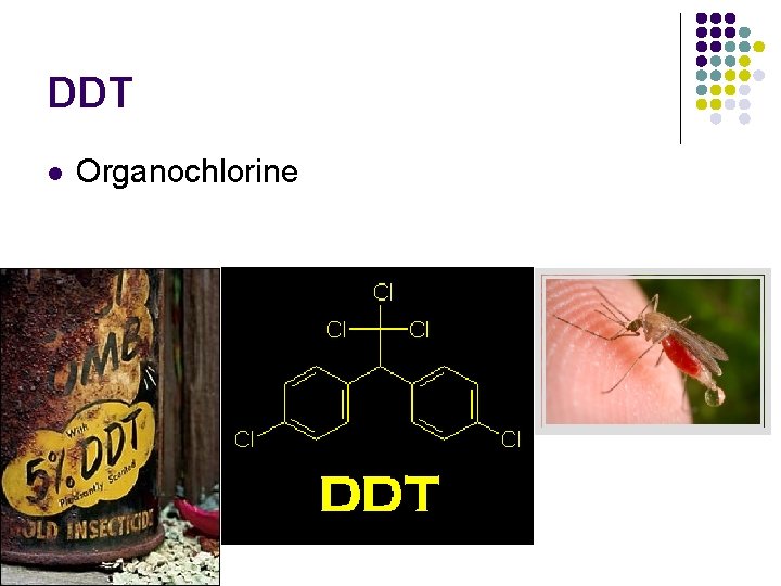 DDT l Organochlorine 
