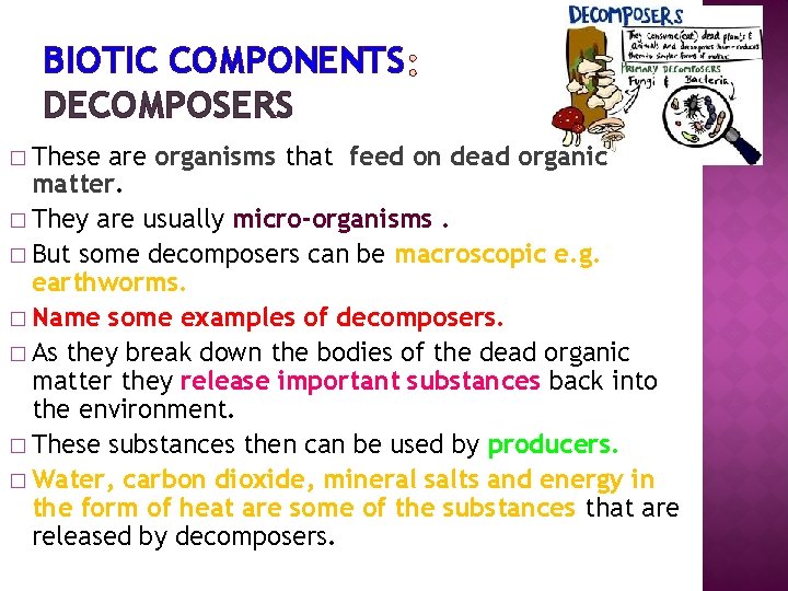 BIOTIC COMPONENTS DECOMPOSERS � These are organisms that feed on dead organic matter. �