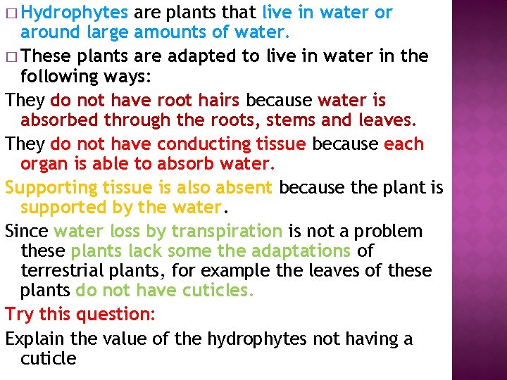 � Hydrophytes are plants that live in water or around large amounts of water.