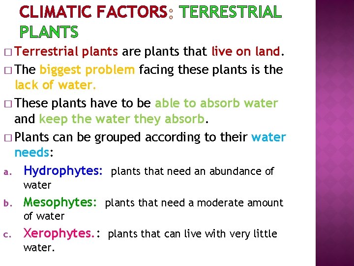 CLIMATIC FACTORS TERRESTRIAL PLANTS � Terrestrial plants are plants that live on land. �