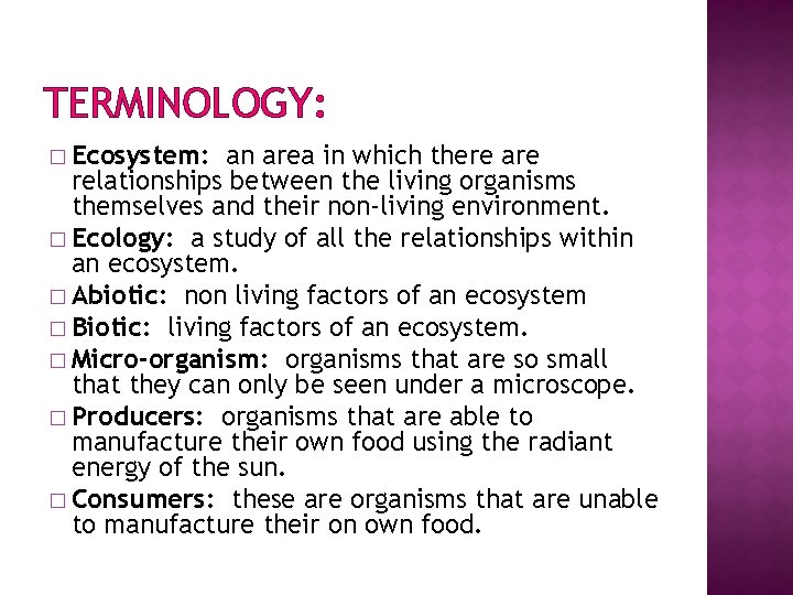 TERMINOLOGY: � Ecosystem: an area in which there are relationships between the living organisms