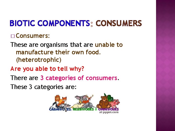 BIOTIC COMPONENTS CONSUMERS � Consumers: These are organisms that are unable to manufacture their