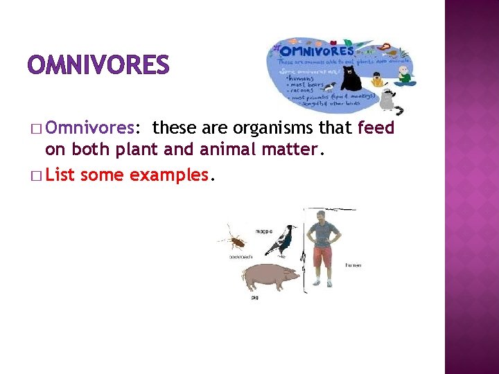 OMNIVORES � Omnivores: these are organisms that feed on both plant and animal matter.