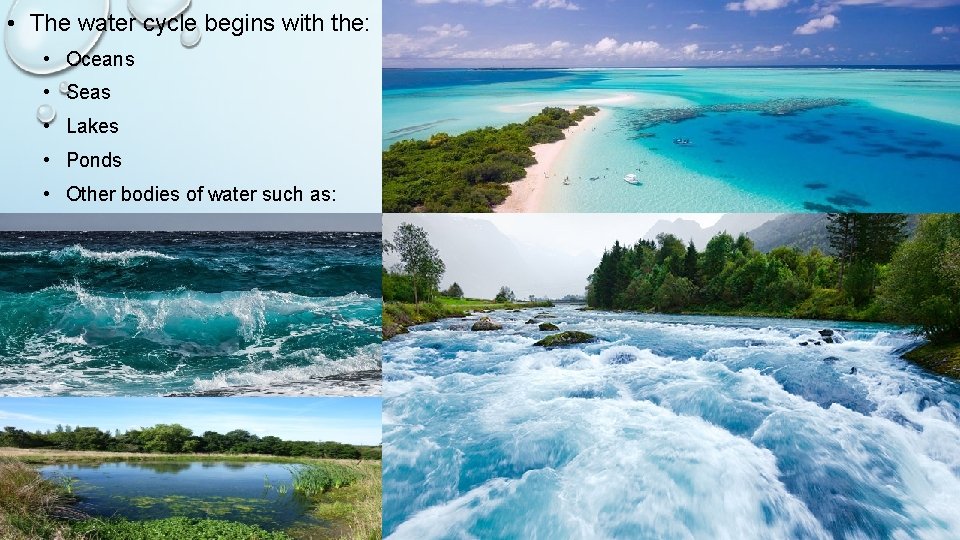  • The water cycle begins with the: • Oceans • Seas • Lakes