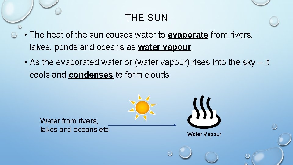 THE SUN • The heat of the sun causes water to evaporate from rivers,