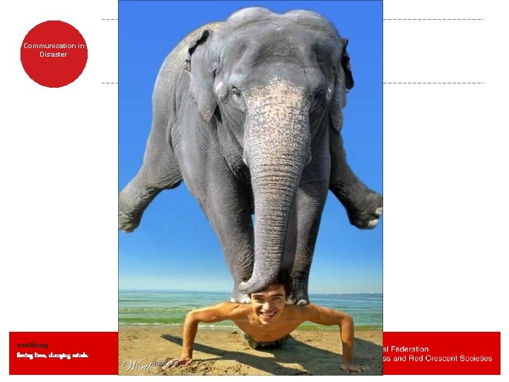 Communication in Disaster www. ifrc. org Saving lives, changing minds. Communication in Disaster www. ifrc. org Saving lives, changing minds.