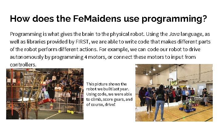 How does the Fe. Maidens use programming? Programming is what gives the brain to How does the Fe. Maidens use programming? Programming is what gives the brain to