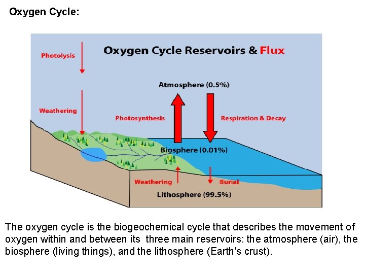 Oxygen Cycle: The oxygen cycle is the biogeochemical cycle that describes the movement of