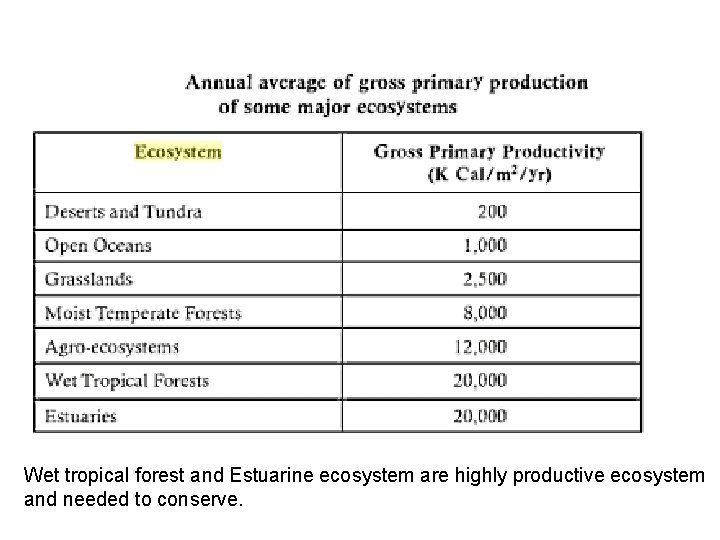 Wet tropical forest and Estuarine ecosystem are highly productive ecosystem and needed to conserve.