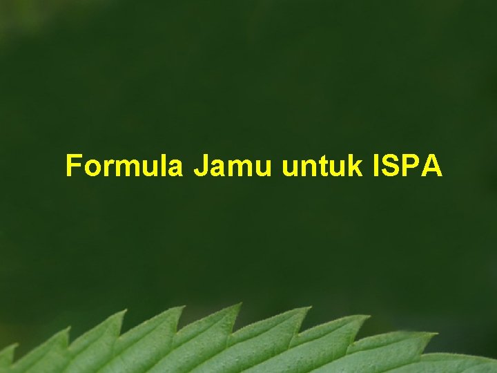 Formula Jamu untuk ISPA 