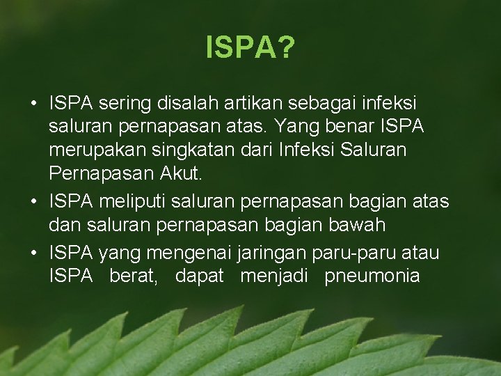 ISPA? • ISPA sering disalah artikan sebagai infeksi saluran pernapasan atas. Yang benar ISPA