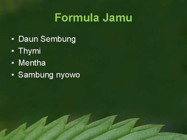 Formula Jamu • • Daun Sembung Thymi Mentha Sambung nyowo 