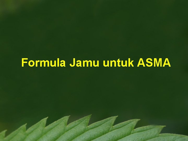 Formula Jamu untuk ASMA 