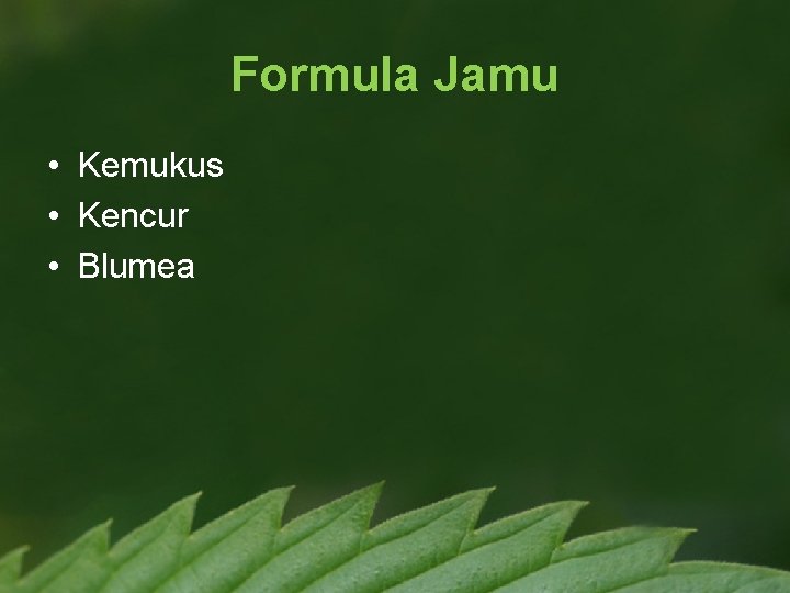 Formula Jamu • Kemukus • Kencur • Blumea 