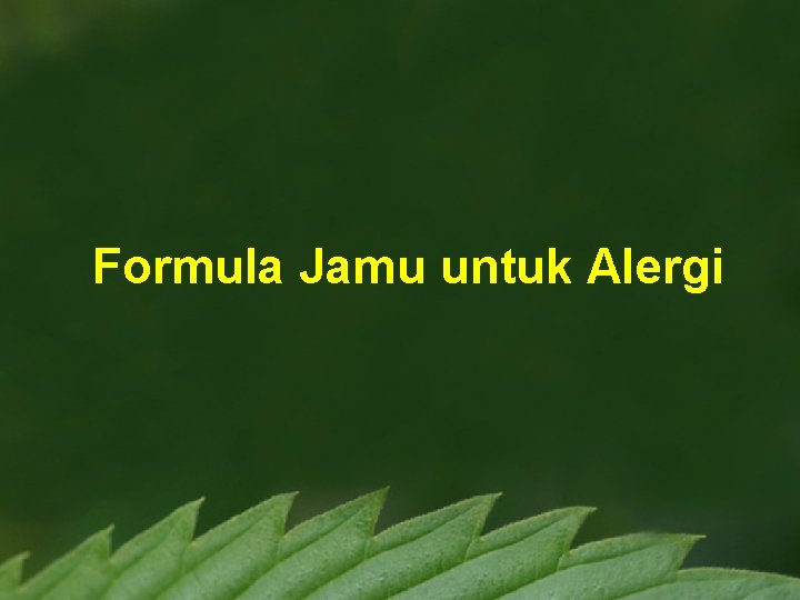 Formula Jamu untuk Alergi 