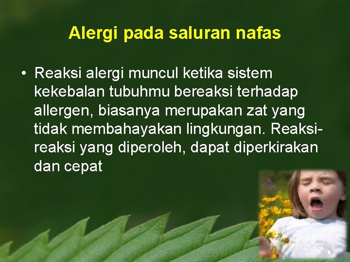 Alergi pada saluran nafas • Reaksi alergi muncul ketika sistem kekebalan tubuhmu bereaksi terhadap