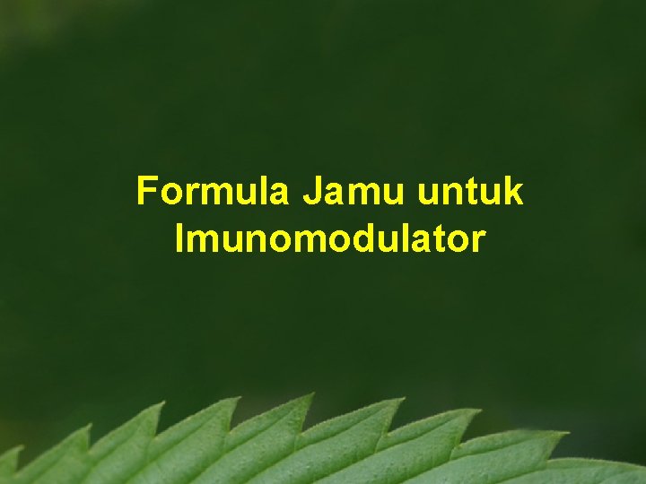 Formula Jamu untuk Imunomodulator 