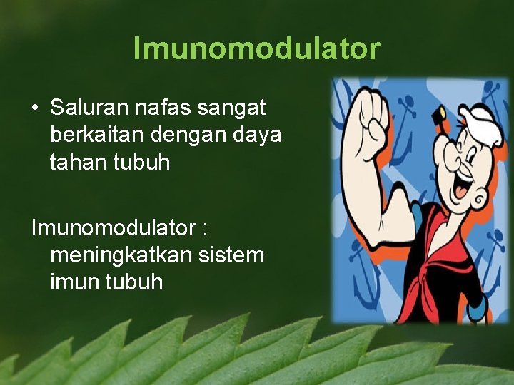 Imunomodulator • Saluran nafas sangat berkaitan dengan daya tahan tubuh Imunomodulator : meningkatkan sistem