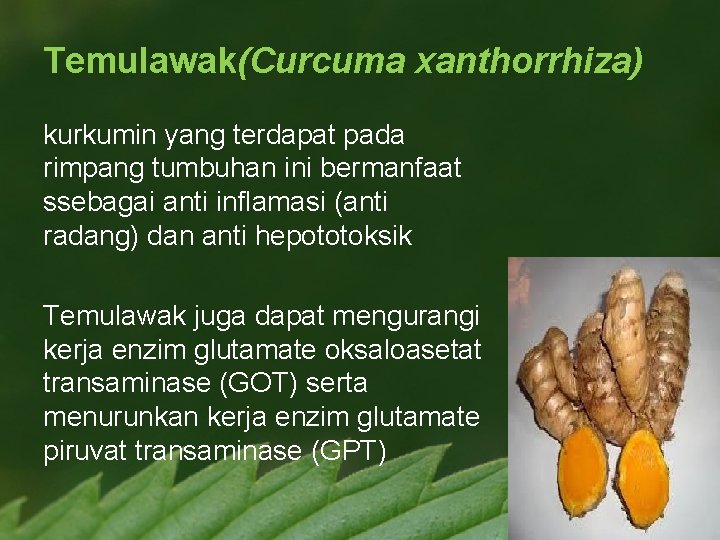 Temulawak(Curcuma xanthorrhiza) kurkumin yang terdapat pada rimpang tumbuhan ini bermanfaat ssebagai anti inflamasi (anti