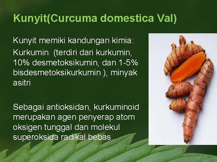 Kunyit(Curcuma domestica Val) Kunyit memiki kandungan kimia: Kurkumin (terdiri dari kurkumin, 10% desmetoksikumin, dan