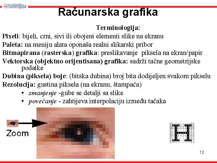 Računarska grafika Terminologija: Pixeli: bijeli, crni, sivi ili obojeni elementi slike na ekranu Paleta: