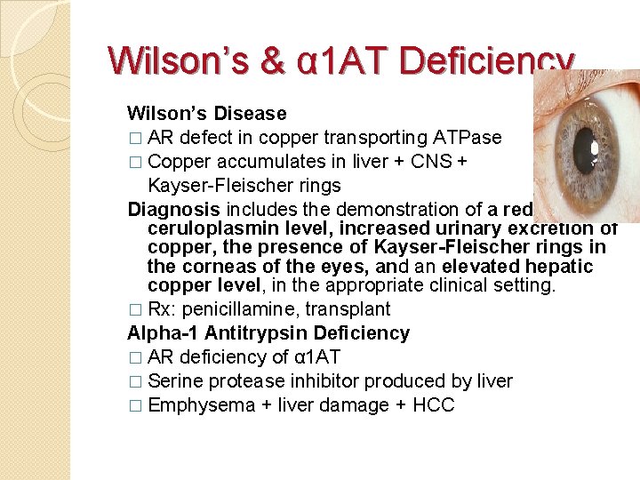 Wilson’s & α 1 AT Deficiency Wilson’s Disease � AR defect in copper transporting