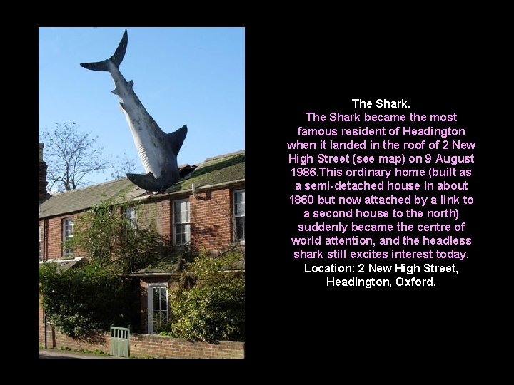 The Shark became the most famous resident of Headington when it landed in the