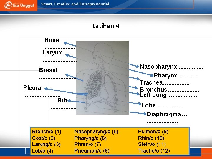 Latihan 4 Nose. . . Larynx. . . . . Breast. . . Pleura.