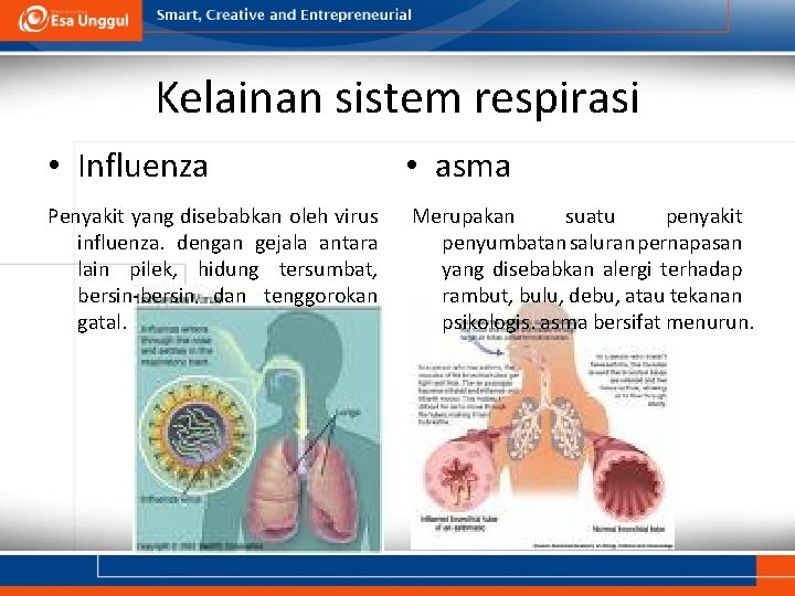 Kelainan sistem respirasi • Influenza • asma Penyakit yang disebabkan oleh virus influenza. dengan