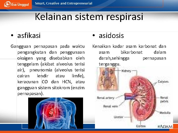 Kelainan sistem respirasi • asfikasi • asidosis Gangguan pernapasan pada waktu pengangkutan dan penggunaan