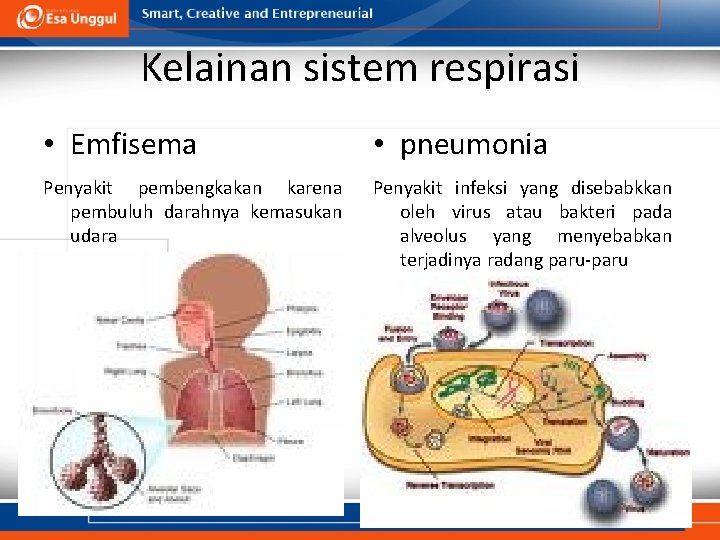 Kelainan sistem respirasi • Emfisema • pneumonia Penyakit pembengkakan karena pembuluh darahnya kemasukan udara