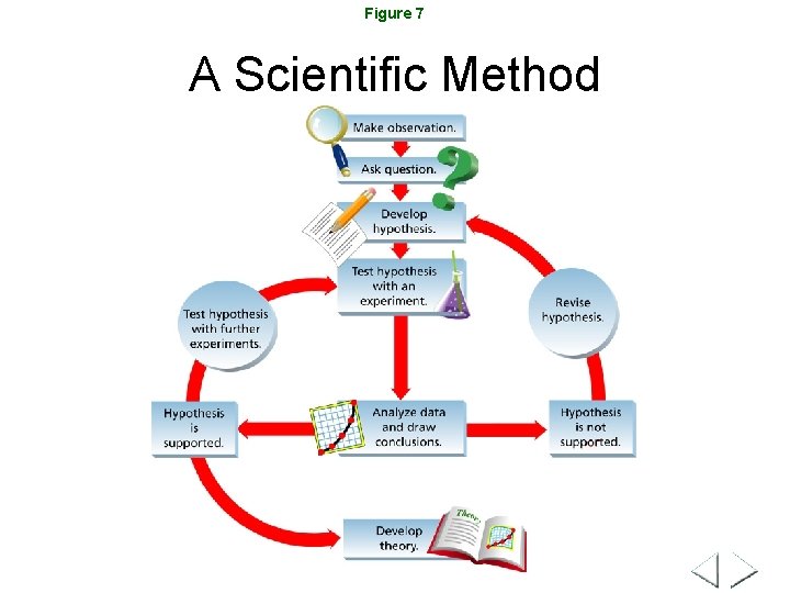 Figure 7 A Scientific Method 