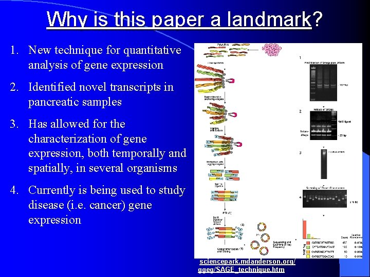 Why is this paper a landmark? 1. New technique for quantitative analysis of gene