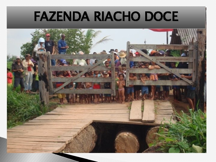 FAZENDA RIACHO DOCE 