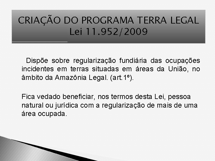 CRIAÇÃO DO PROGRAMA TERRA LEGAL Lei 11. 952/2009 Dispõe sobre regularização fundiária das ocupações