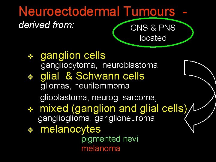 Neuroectodermal Tumours derived from: CNS & PNS located v ganglion cells v glial &