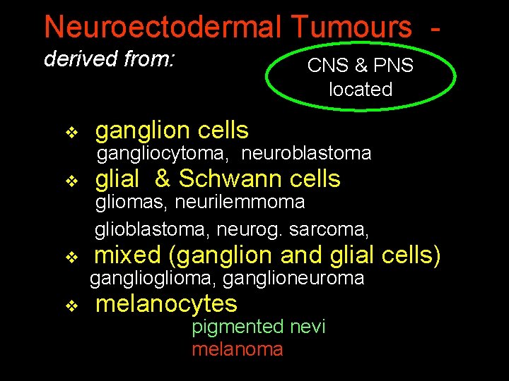 Neuroectodermal Tumours derived from: CNS & PNS located v ganglion cells v glial &