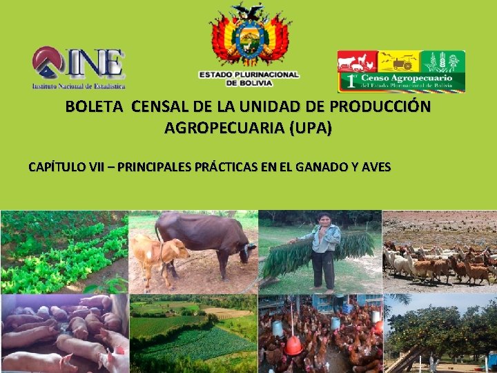 BOLETA CENSAL DE LA UNIDAD DE PRODUCCIÓN AGROPECUARIA (UPA) CAPÍTULO VII – PRINCIPALES PRÁCTICAS