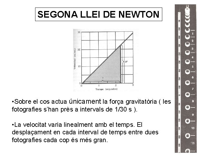SEGONA LLEI DE NEWTON • Sobre el cos actua únicament la força gravitatòria (
